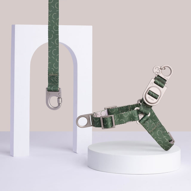 Fur Sie Sabine green pattern no-pull dog harness and matching leash set with metal D-rings on a gray background