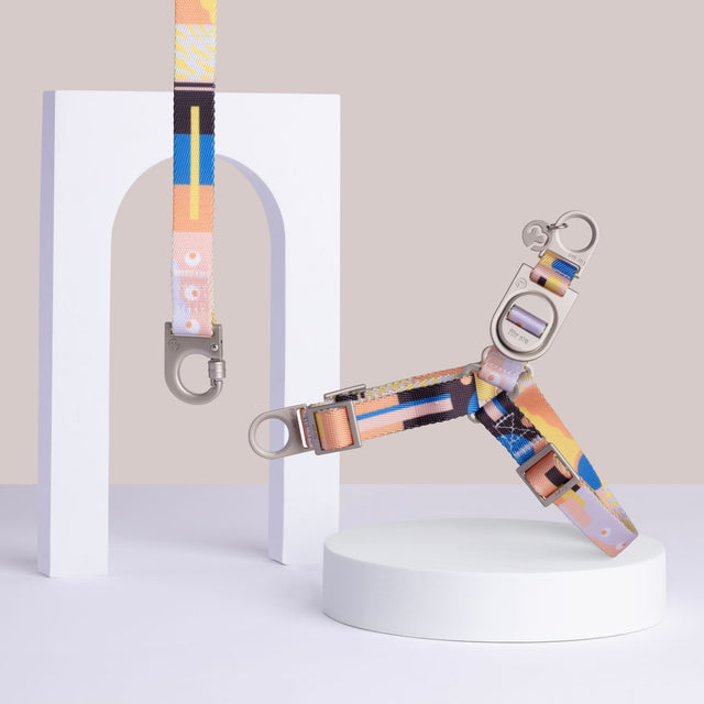 Fur Sie Una multi-color pattern no-pull dog harness and matching leash set with metal D-rings on a gray background