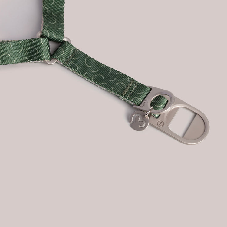 Close-up of the Sabine dog harness metal lock and straps