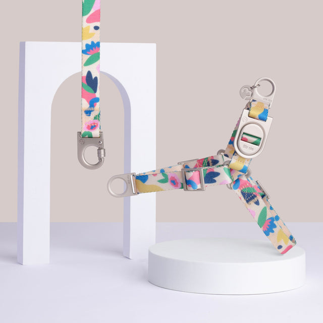 Fur Sie Gaston multi-color, floral pattern no-pull dog harness and matching leash set with metal D-rings on a gray background