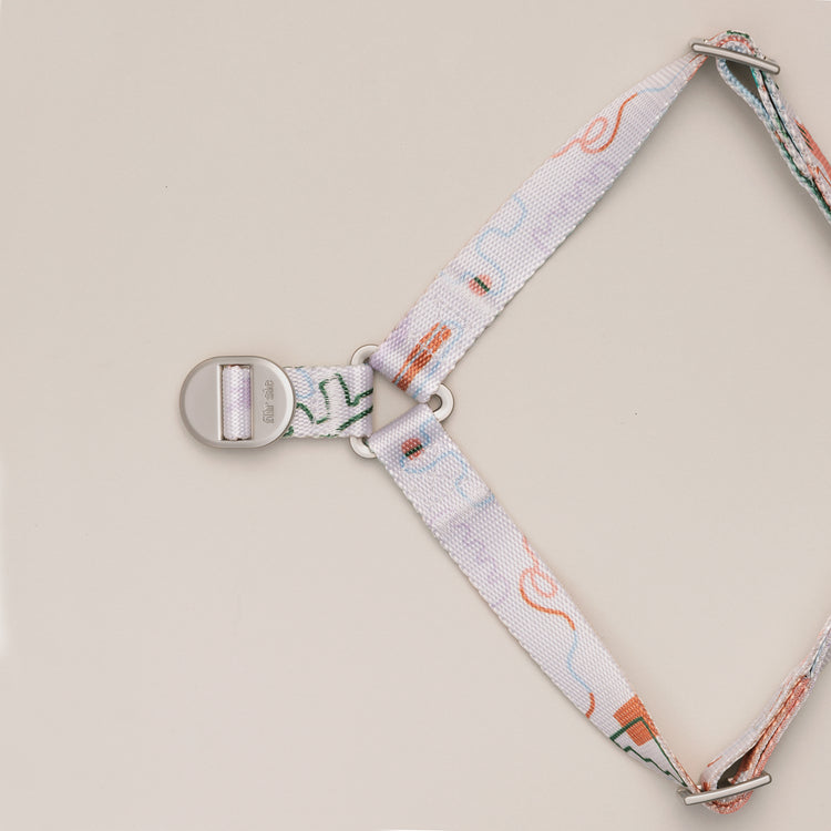Matteo Step-In Dog Harness