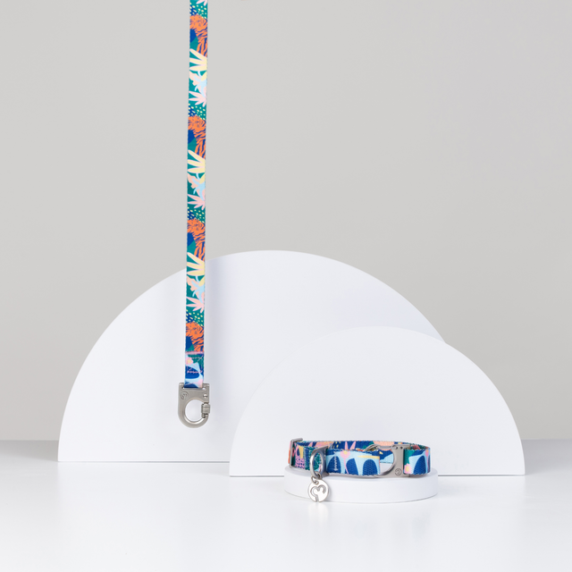 Fur Sie Frans colorful dog collar and leash set on a gray background