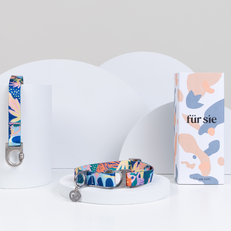 Frans Collar & Leash Set