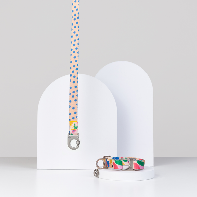Fur Sie Gaston dog collar and leash set with colorful design against a light gray background