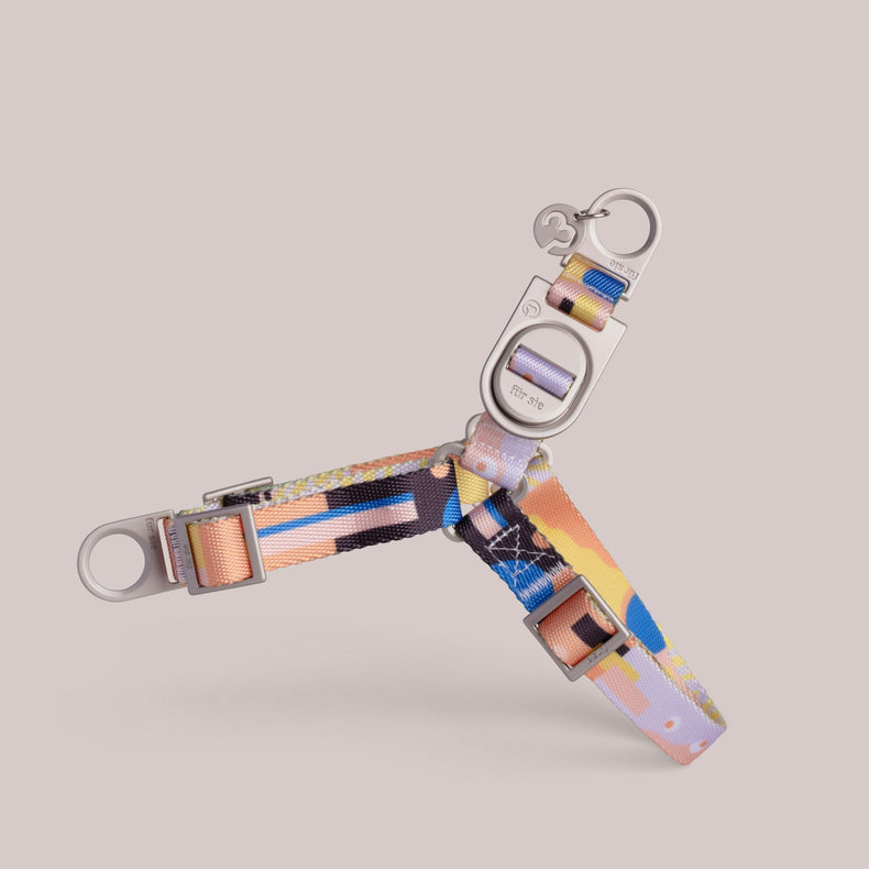 Dog harness with abstract pattern straps on a light neutral background