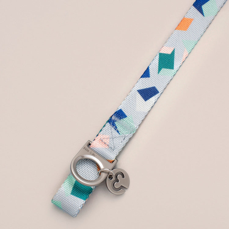 Bran collar d-ring and charm close-up