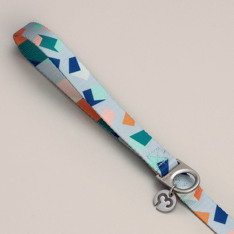 Bran leash handle with D-ring and charm