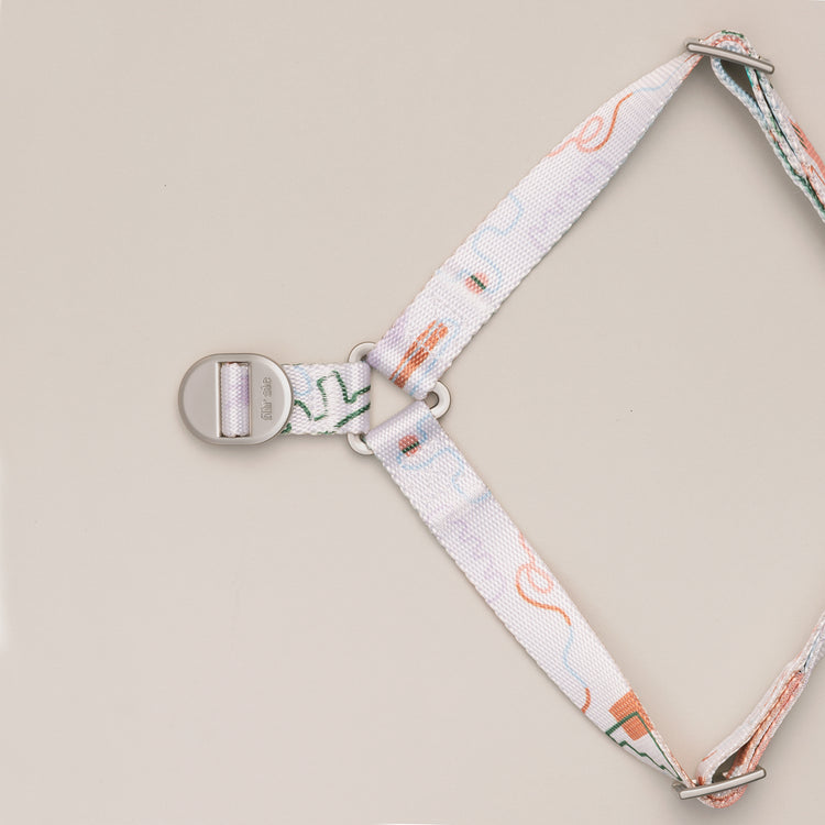 Close-up of the Matteo dog harness metal lock and straps