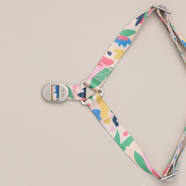 Close-up of the Gaston dog harness metal lock and straps