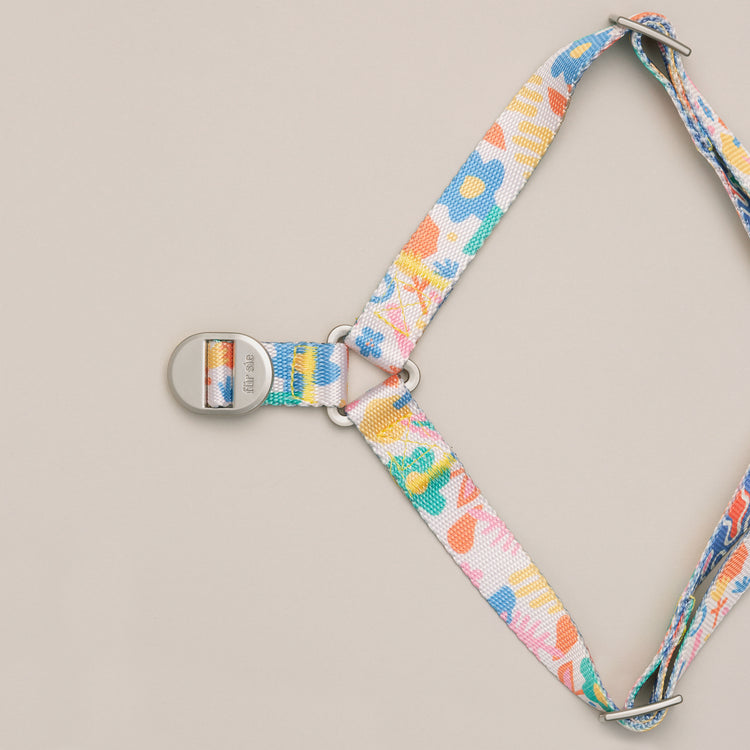 Fayette Harness | Premium Dog Essentials | Fur-Sie