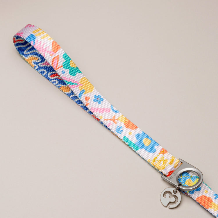 fayette leash handle