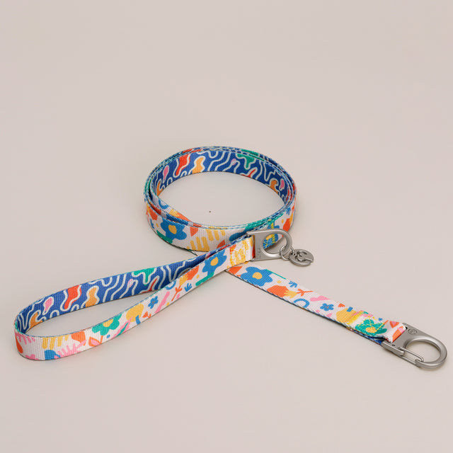 Fayette leash
