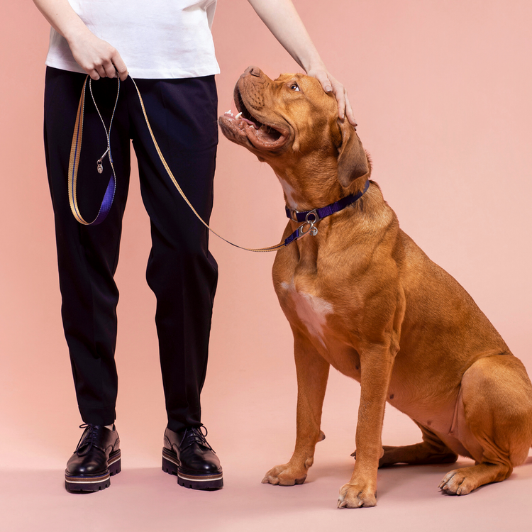 Luc Leash | Pet Products | Dog Leashes Online | Fur-Sie
