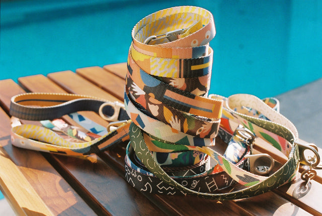 What Makes a Dog Collar Feel Designed, Not Just Bought?