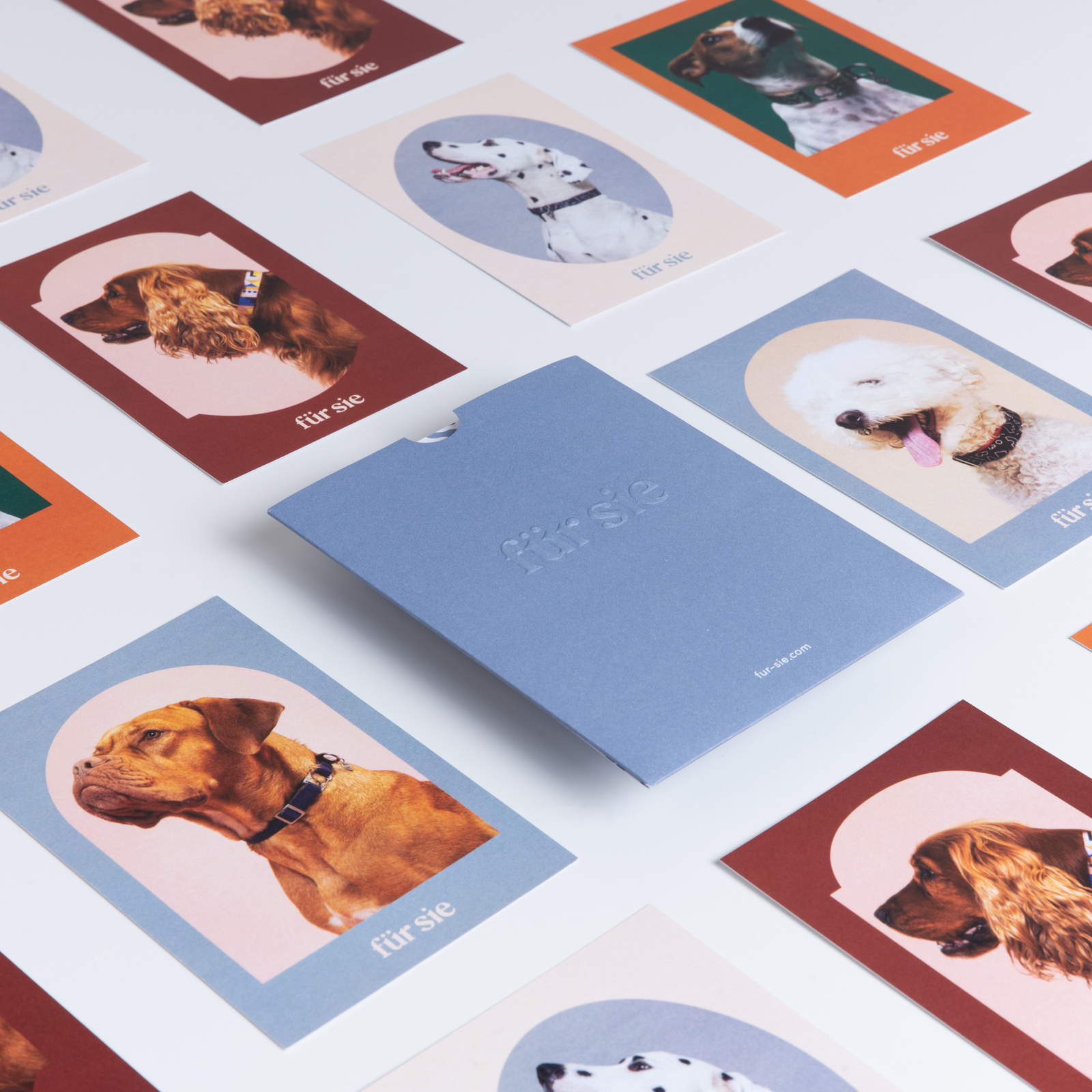 Thoughtfully Designed For Modern Life