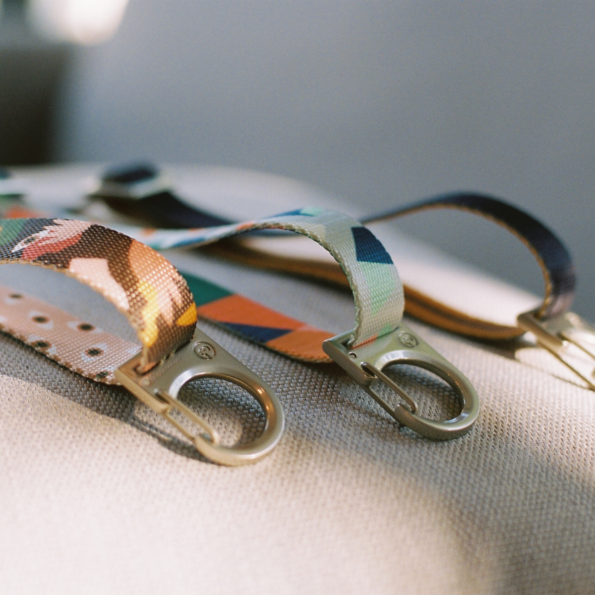 Dog Collar Trends: The Fashion Week Edition
