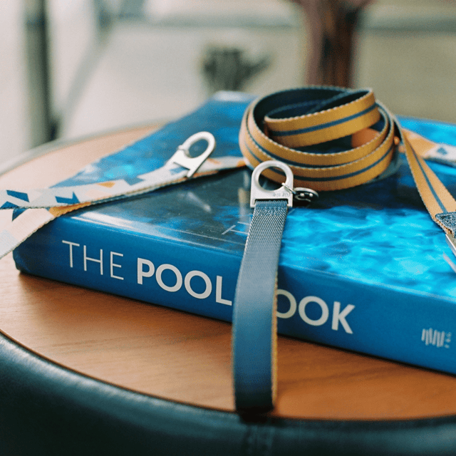 Dog Friendly Holidays: What to Pack for a Stay Away With Your Dog
