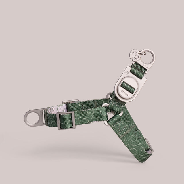 Green Fur Sie Sabin anti-pull harness on a light gray background