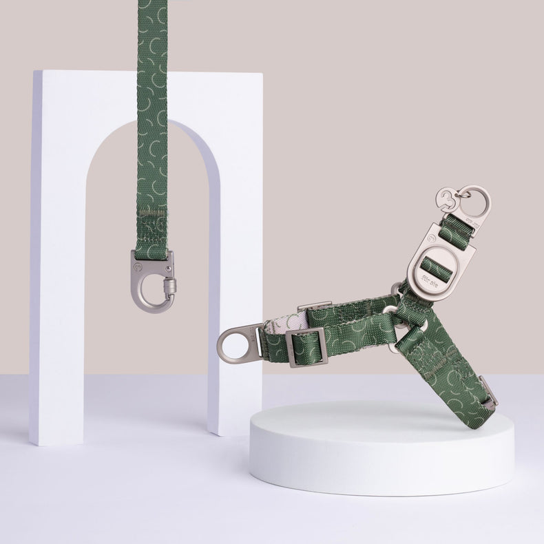 Fur Sie Sabine green pattern no-pull dog harness and matching leash set with metal D-rings on a gray background