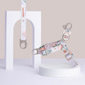 Fur Sie Matteo multi pastel-color pattern no-pull dog harness and matching leash set with metal D-rings on a gray background