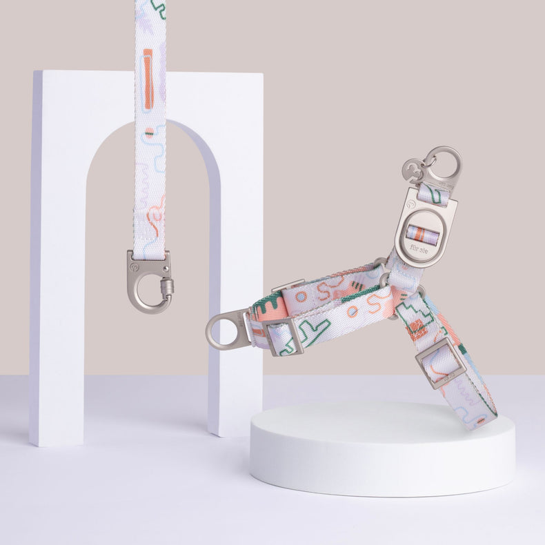Fur Sie Matteo multi pastel-color pattern no-pull dog harness and matching leash set with metal D-rings on a gray background