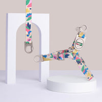 Fur Sie Gaston multi-color, floral pattern no-pull dog harness and matching leash set with metal D-rings on a gray background