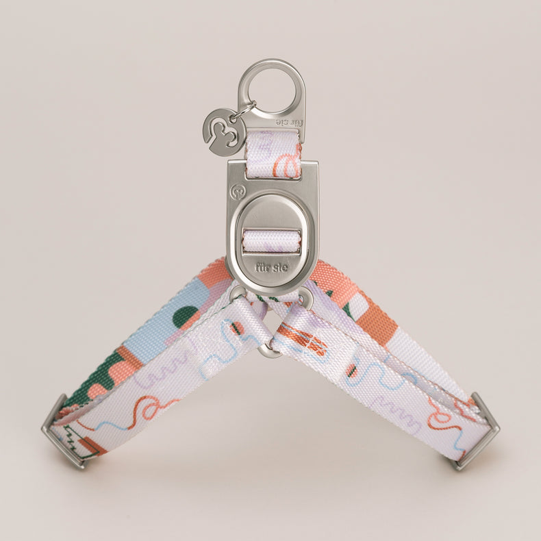 Matteo Step-In Dog Harness
