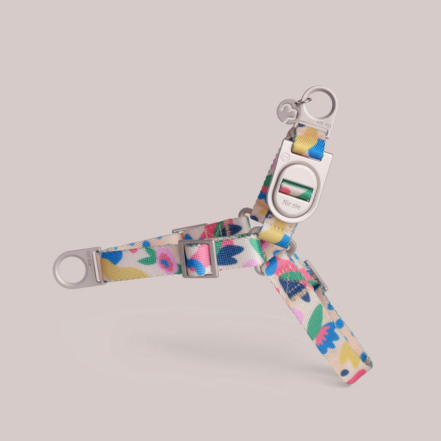 Gaston floral dog harness with metal hardware on a light gray background