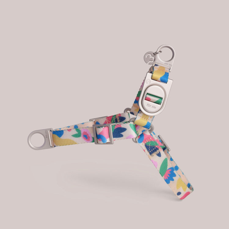 Gaston floral dog harness with metal hardware on a light gray background