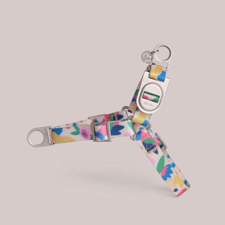 Gaston floral dog harness with metal hardware on a light gray background