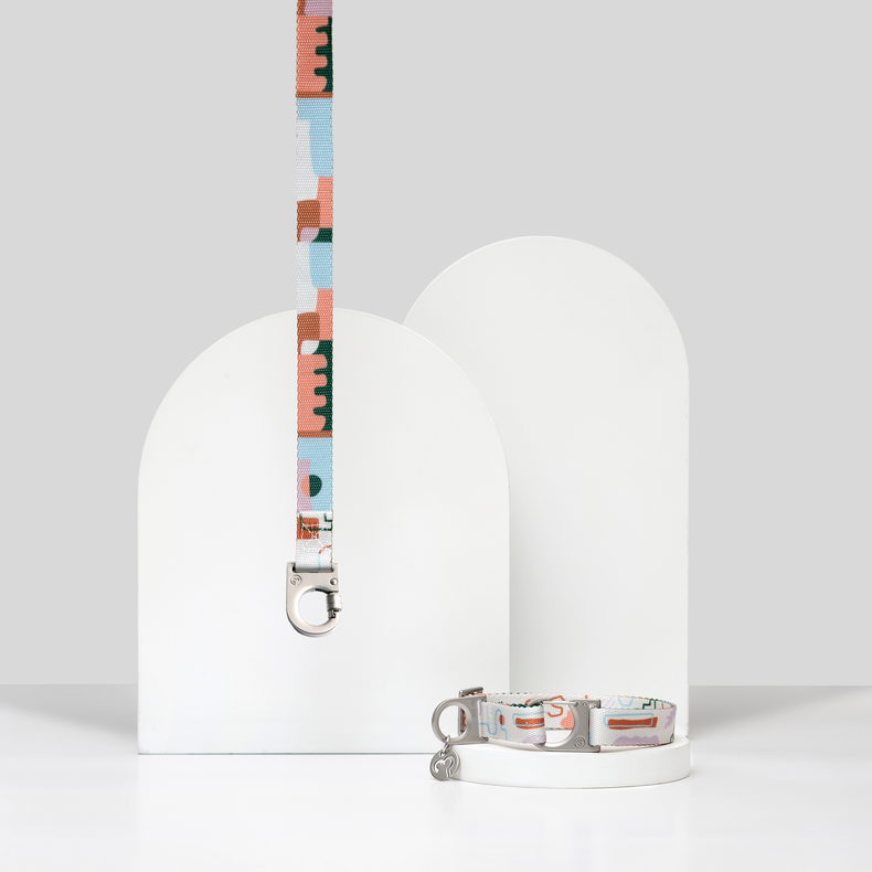 Fur Sie Matteo collar and matching leash set featuring an abstract pastel pattern with a secure clasp and durable D-ring with Fur Sie logo charm