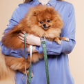A woman holding a Pomeranian dog wearing the Fur Sie Sabine collar & leash set, featuring deep green webbing, a push-lock safety hook, and a built-in D-ring.