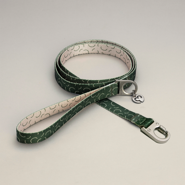 Fur Sie Sabine green dog leash with rounded stripe pattern on a light gray background