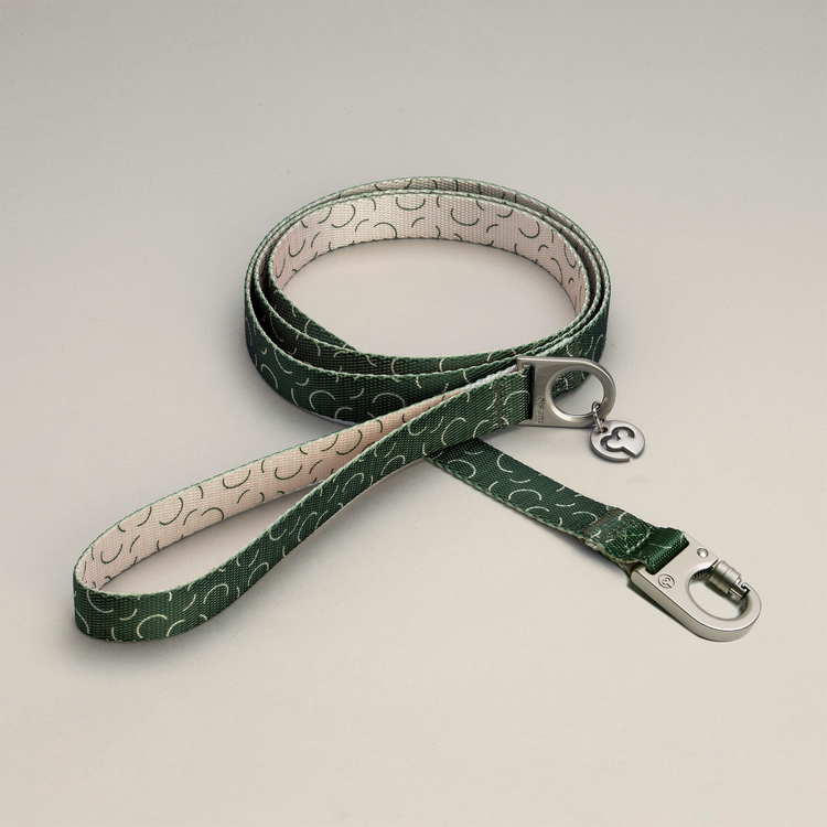 Fur Sie Sabine green dog leash with rounded stripe pattern on a light gray background