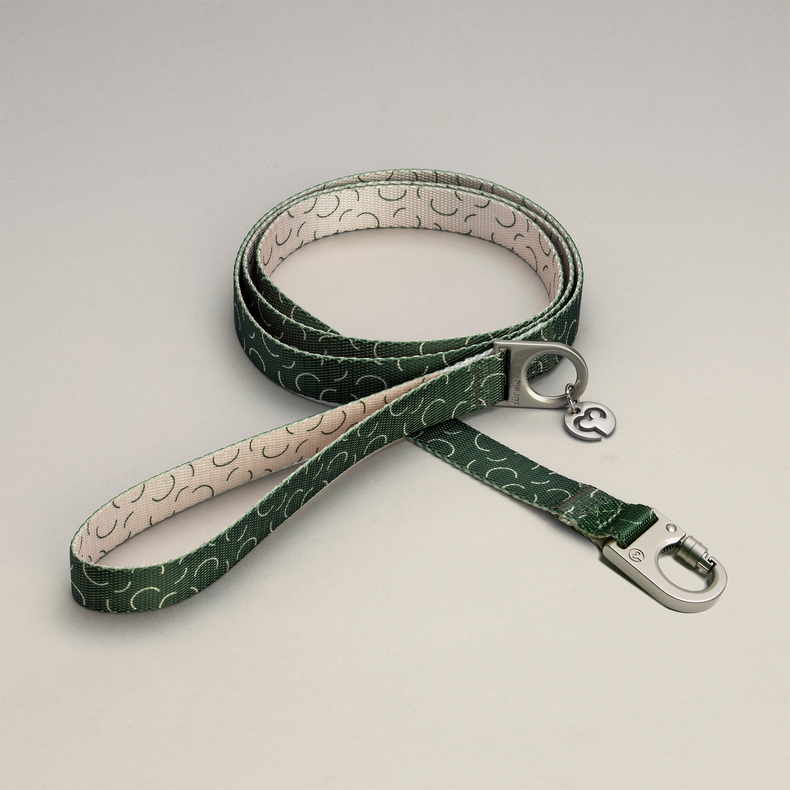Fur Sie Sabine green dog leash with rounded stripe pattern on a light gray background