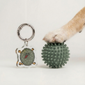 Fur Sie Troublemaker charm next to a green spiky rubber dog ball toy under a dog's paw. The acrylic charm mimics the toy's spiky texture and green color