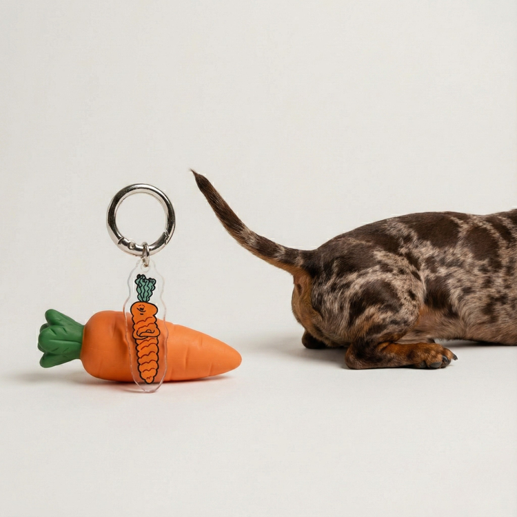 The Snob Fur Sie charm leaning on a carrot dog toy, next to a small dog on a gray background