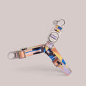 Dog harness with abstract pattern straps on a light neutral background
