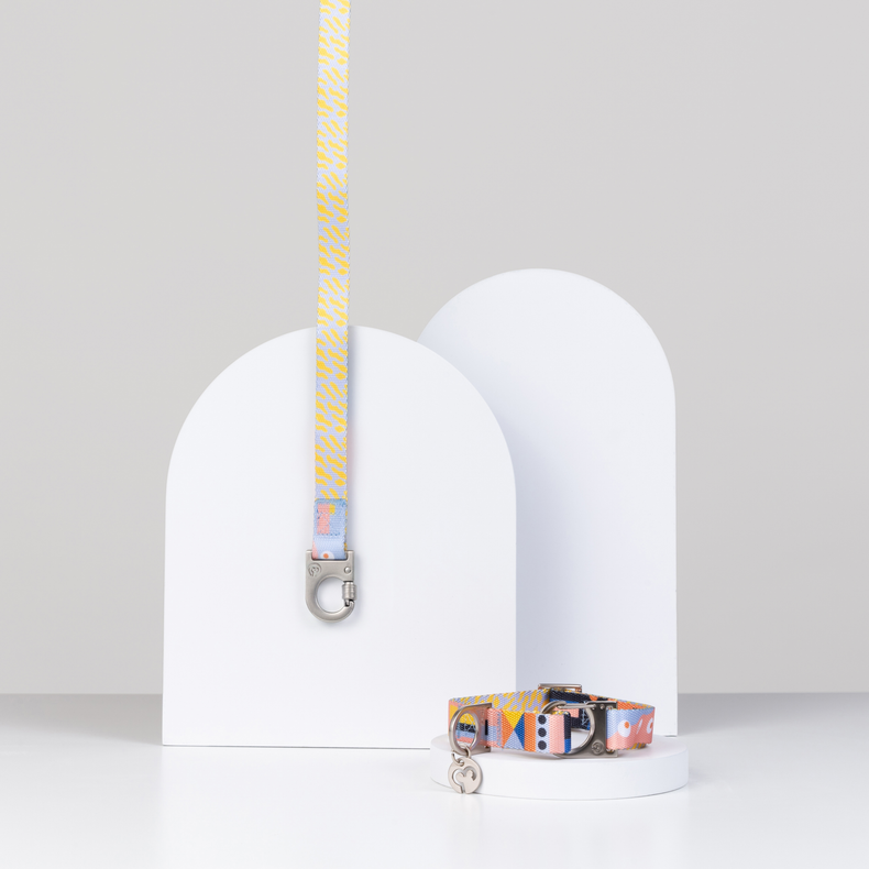 Fur Sie Una dog collar and leash set on a white stand with a light gray background