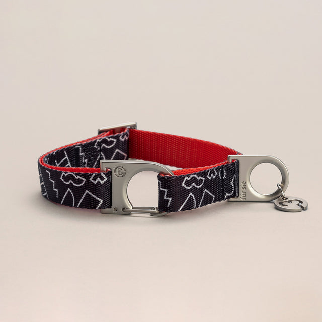 Otis collar