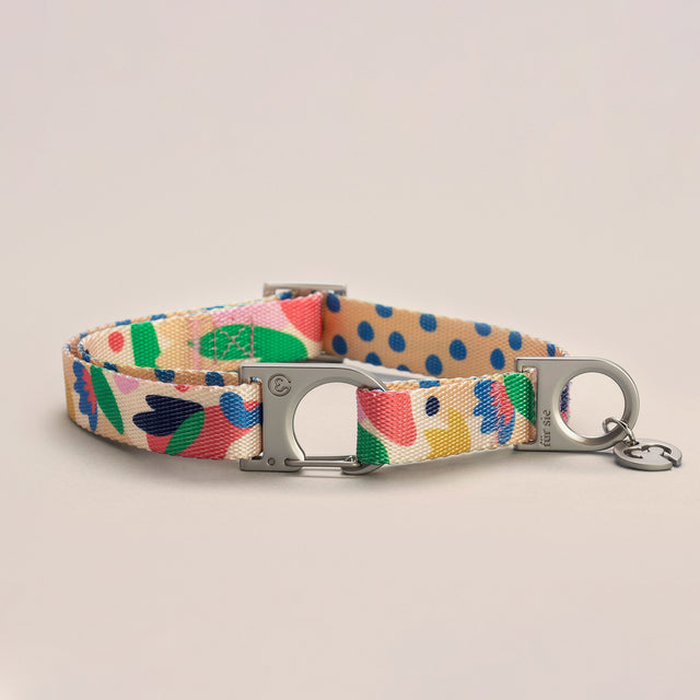 Fur-Sie Gaston double-sided dog collar for small breeds featuring a pink, blue, and green floral and dotted pattern with silver hardware