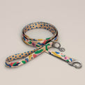 Gaston leash
