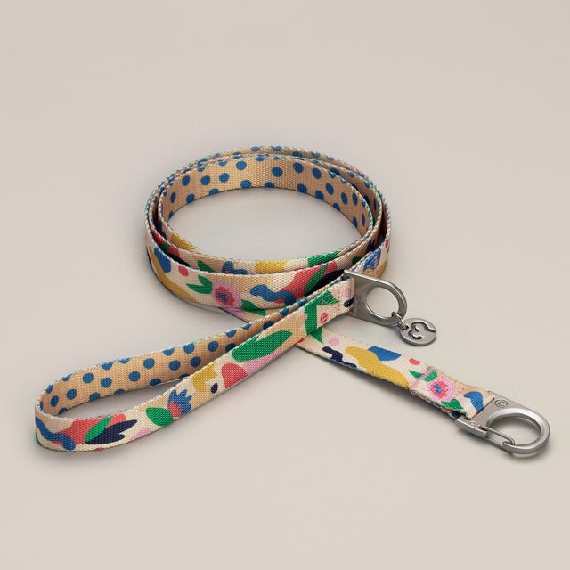 Gaston leash