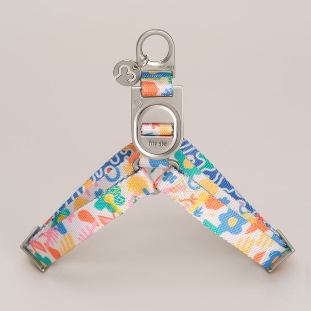 Fayette Harness | Premium Dog Essentials | Fur-Sie