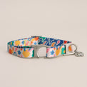 fayette collar