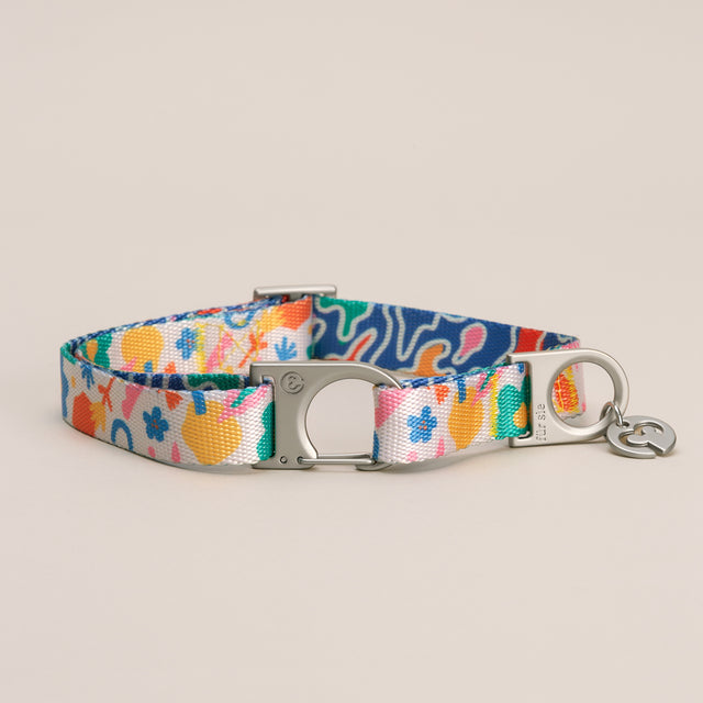 fayette collar