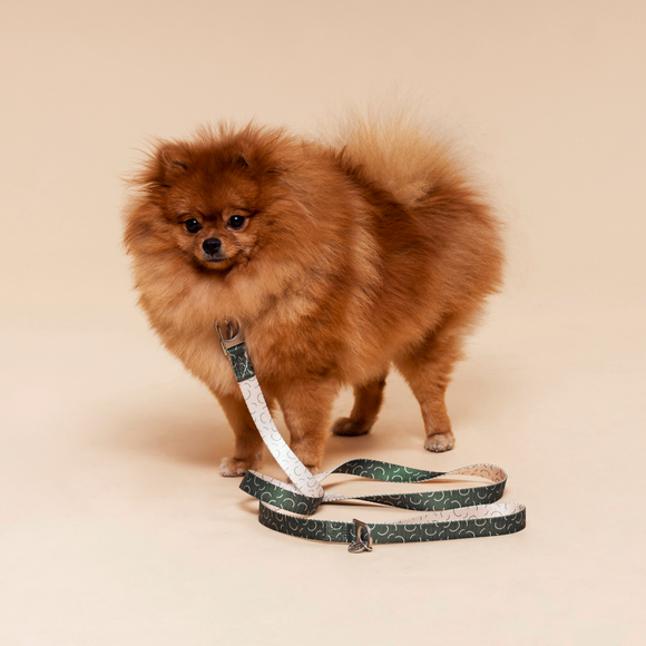 Sabine Leash | Premium Dog Essentials | Fur-Sie