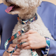 Frans Leash | Premium Dog Essentials | Fur-Sie