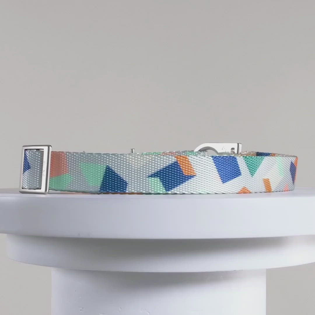 Bran Collar | Premium Dog Essentials | Collars for Dogs Fur-Sie